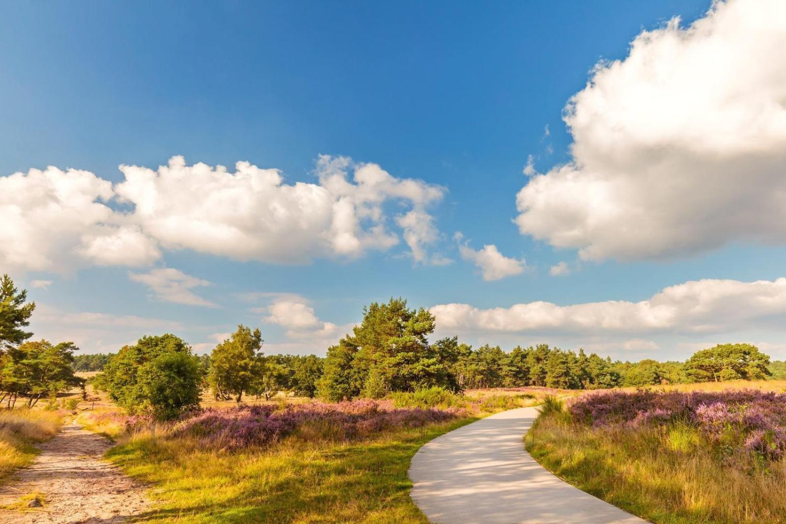 Top Luxe Chalet - Kindvriendelijk - Bos En Heide Harderwijk Kültér fotó